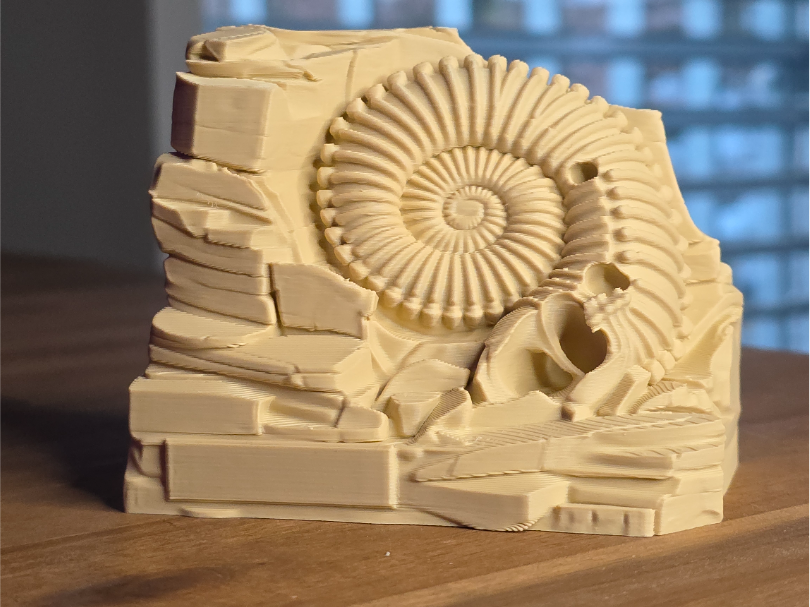 Detailed Ammonite Archeological Model