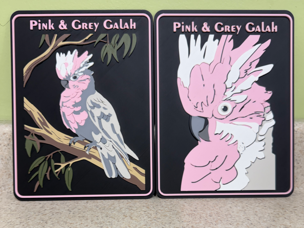 Exotic birds-Parrot -Pink & Grey Galah