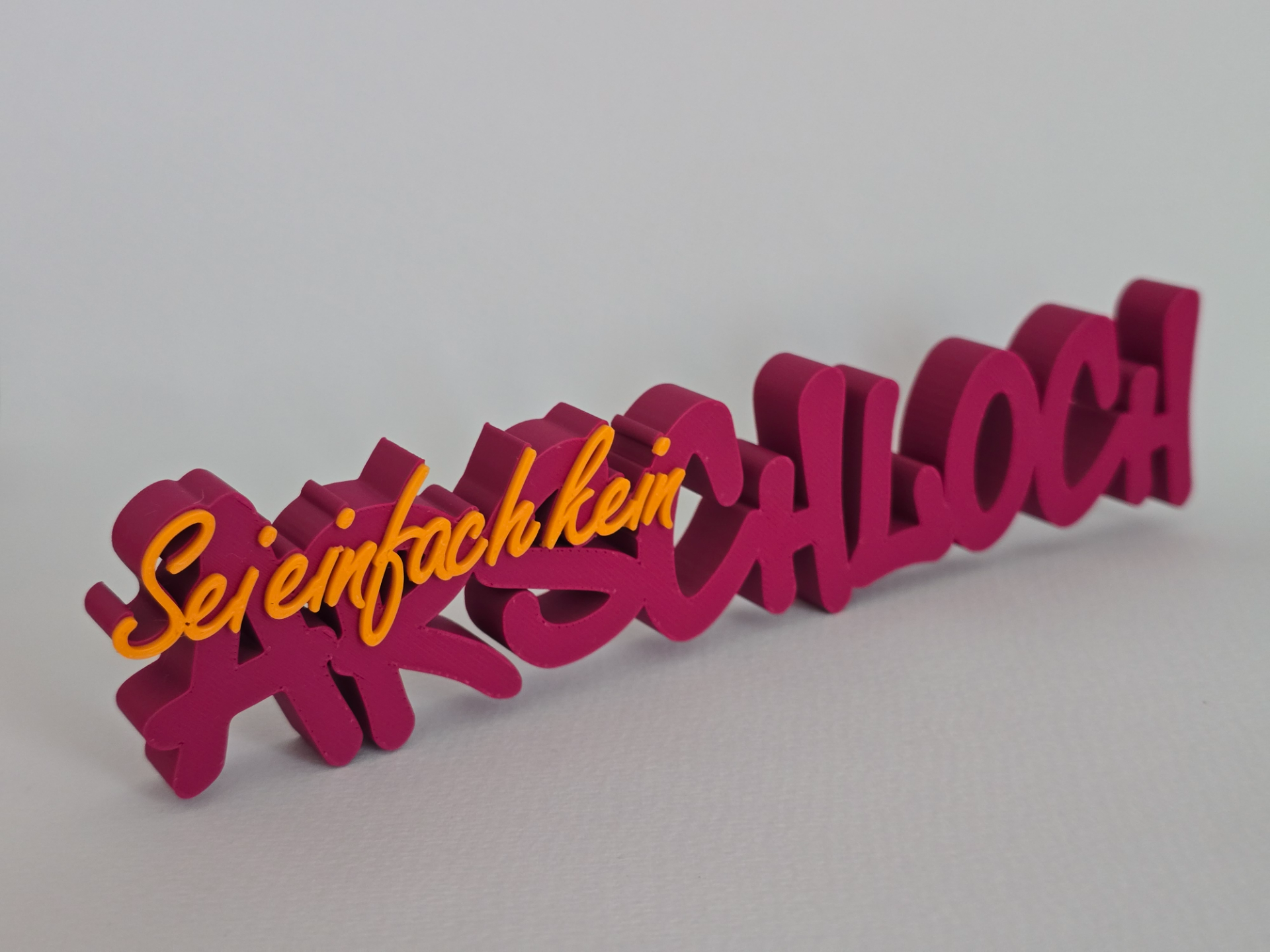 Sei einfach kein Arschloch - Schriftzug