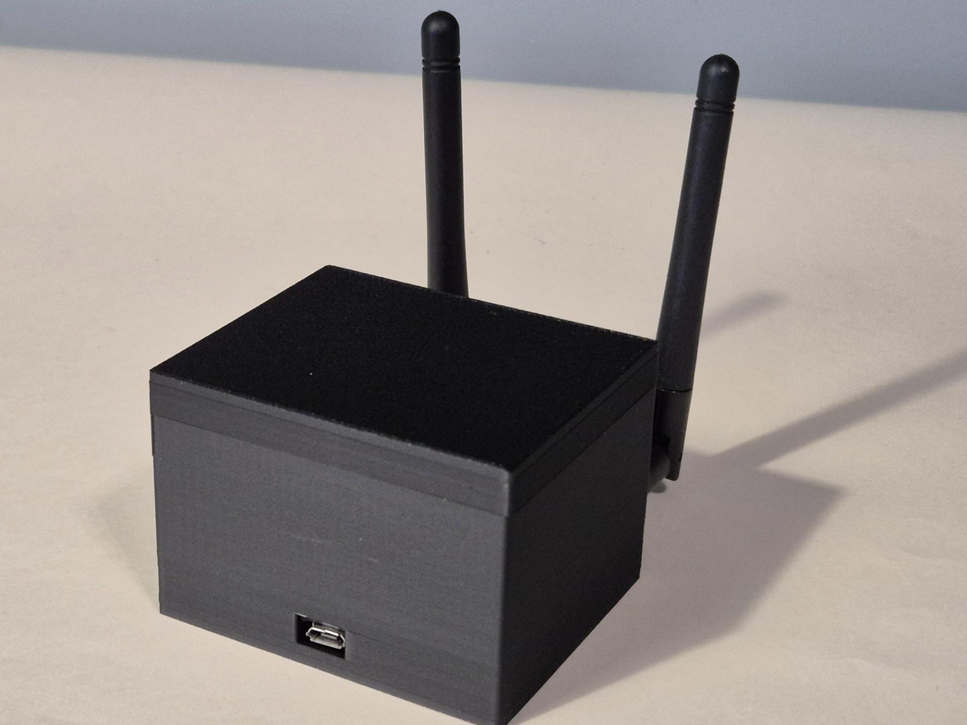 Simple case for a dual-radio openDTU