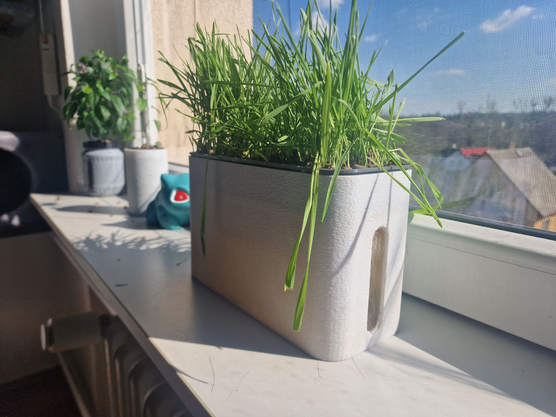Hydroponic Cat Grass Pot