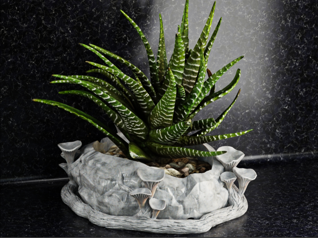 Mashroom flower pot 2