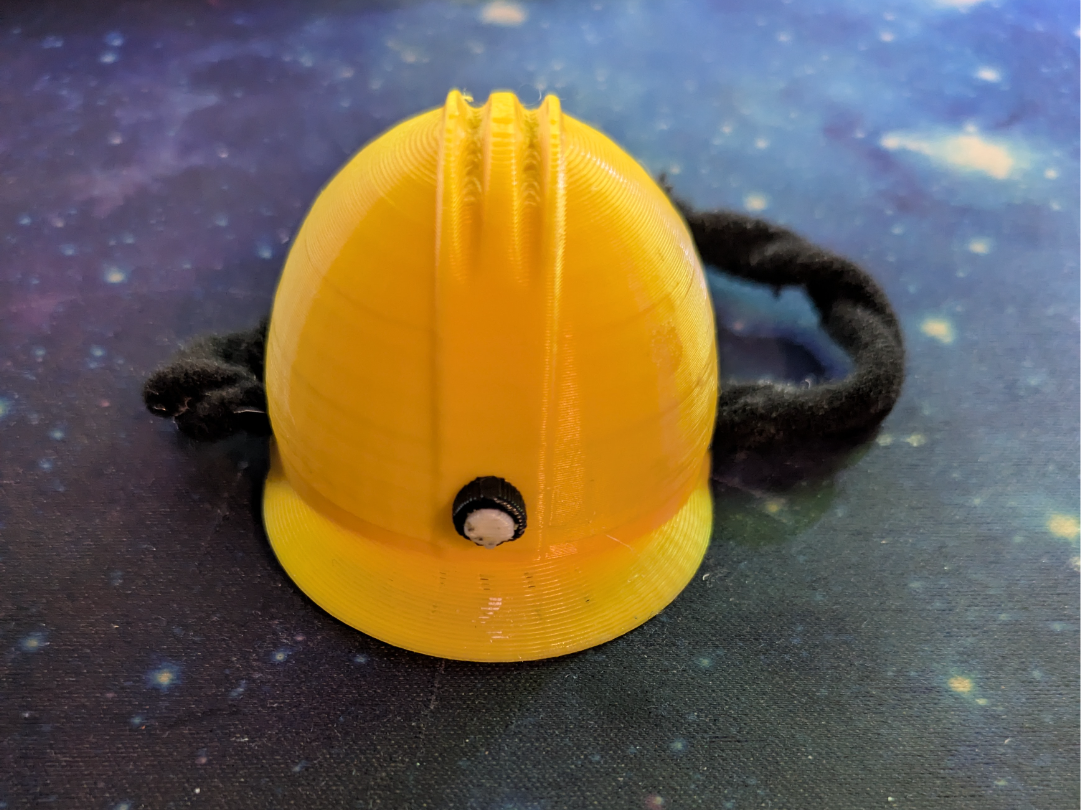 Hard Hat for guinea pig