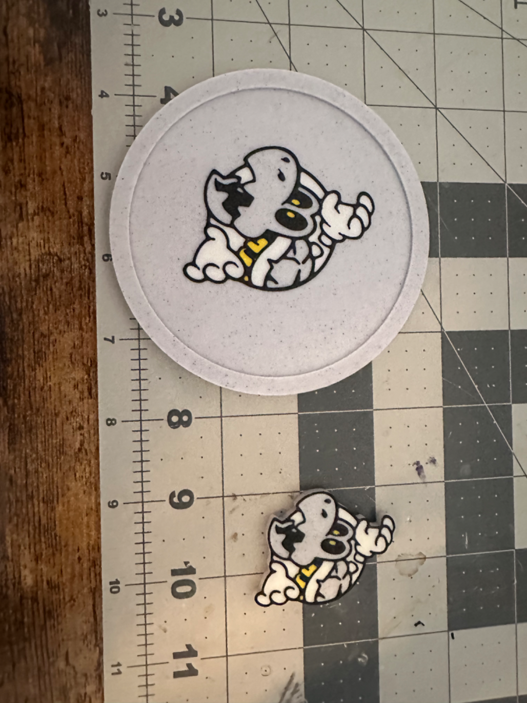 DRY BONES Coaster and magnet