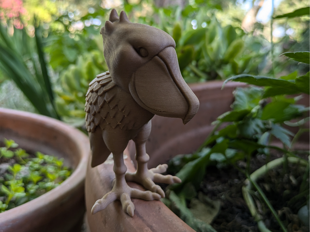 Cute Shoebill Stork