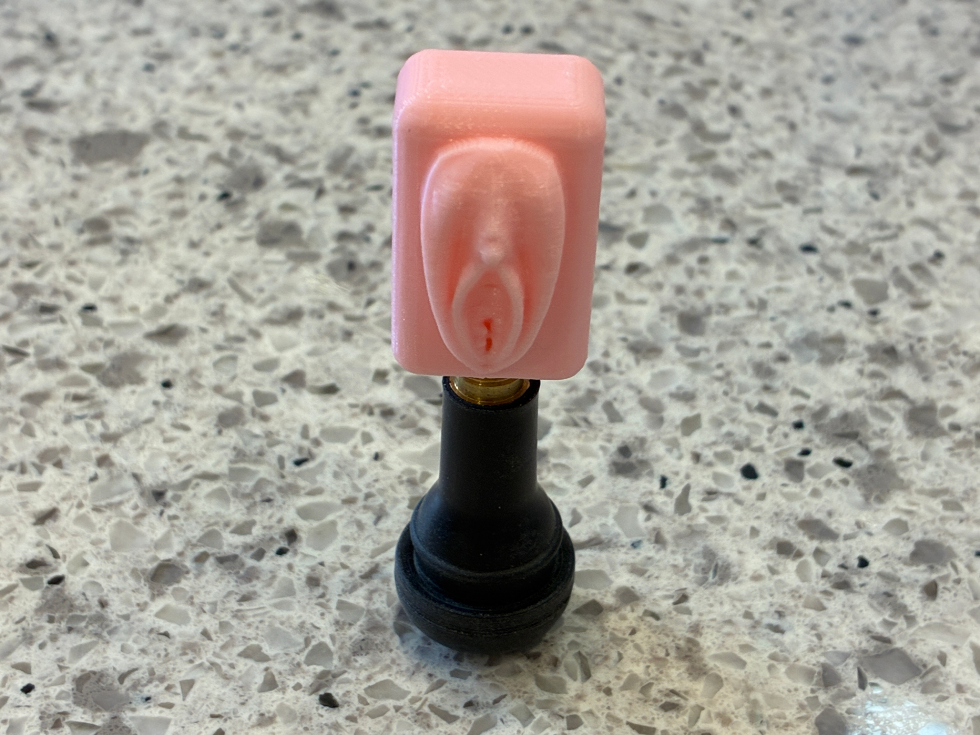 VAGINA/VULVA/PUSSY VALVE STEM CAP