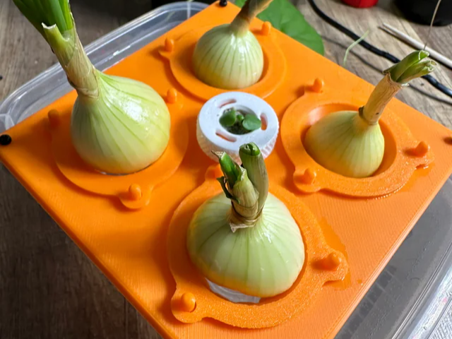 Hydroponics tray for onions / garlic 15cm x 15cm
