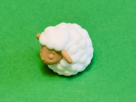 Cute Fluffy Sheep