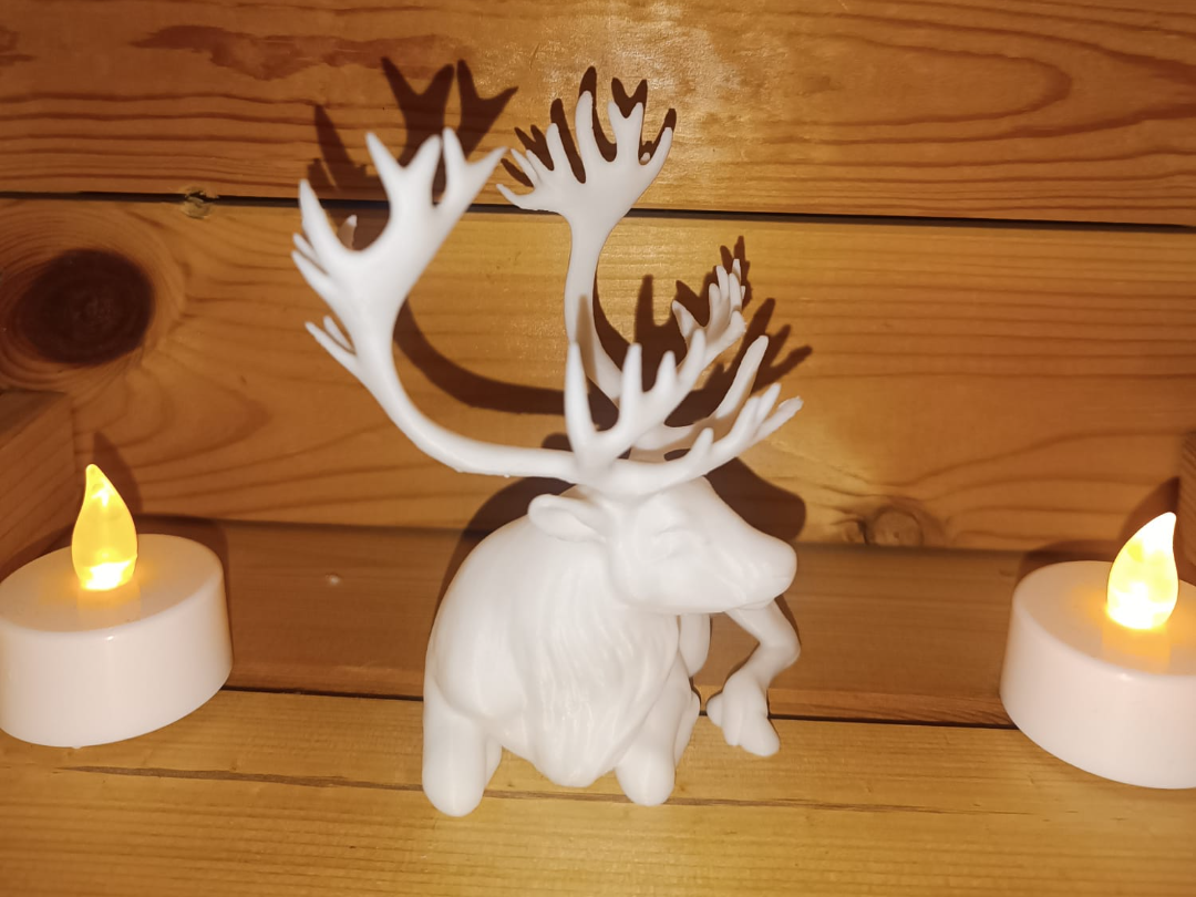 Hirsch mit filigranen Geweih