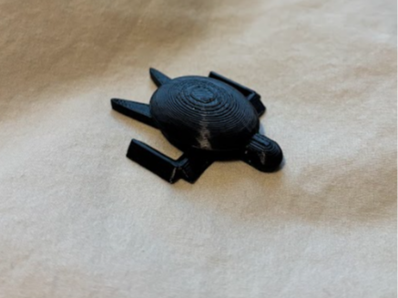Test Turtle for Calibration