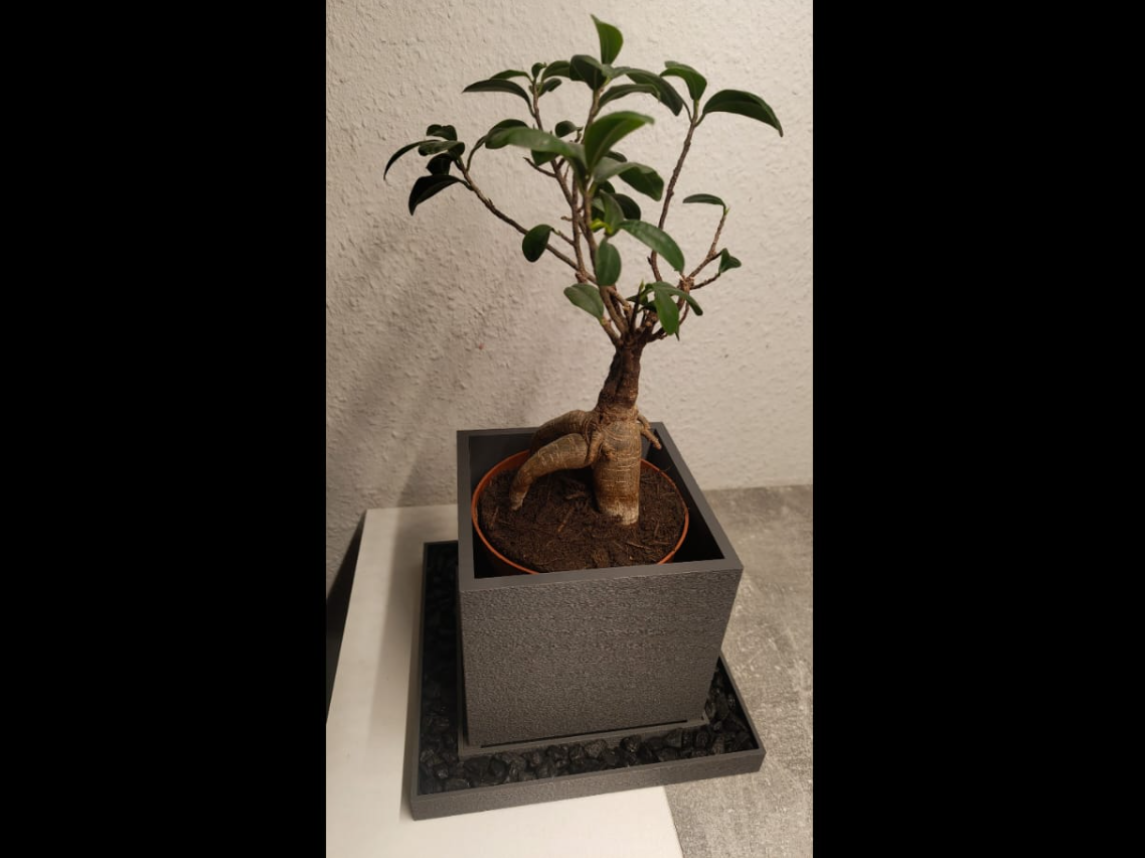Blumentopf - Plantpot Viereckig mit Untersetzer