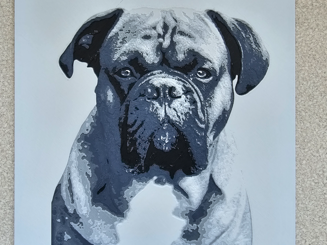 Boxer dog Hueforge