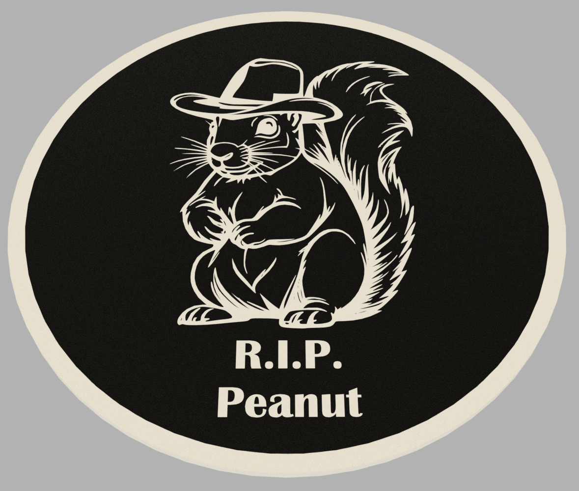 Peanut the squirrel coaster