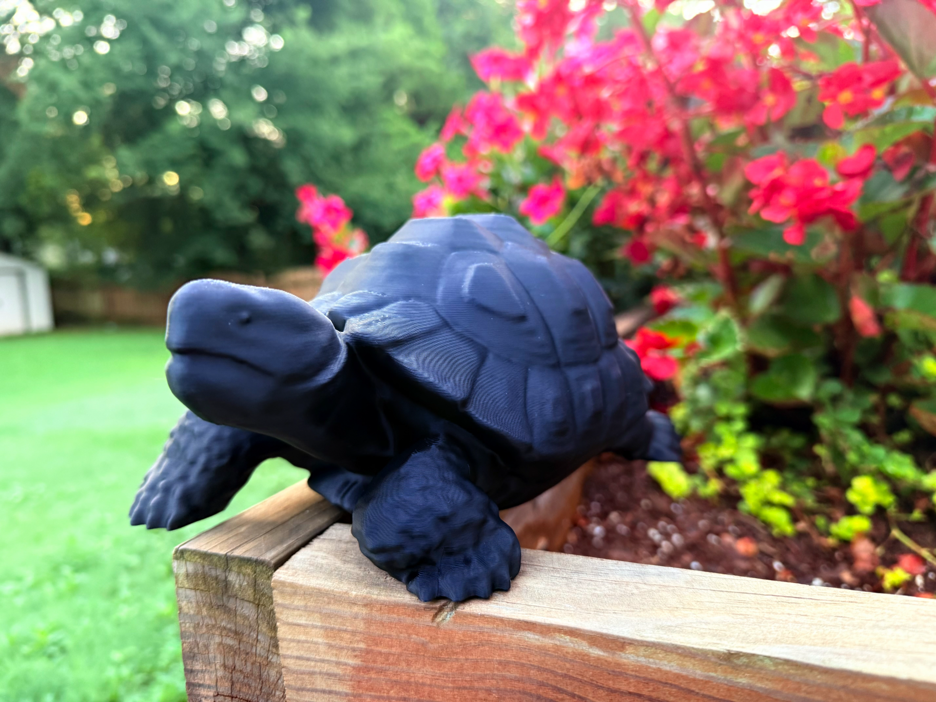 Realistic Turtle