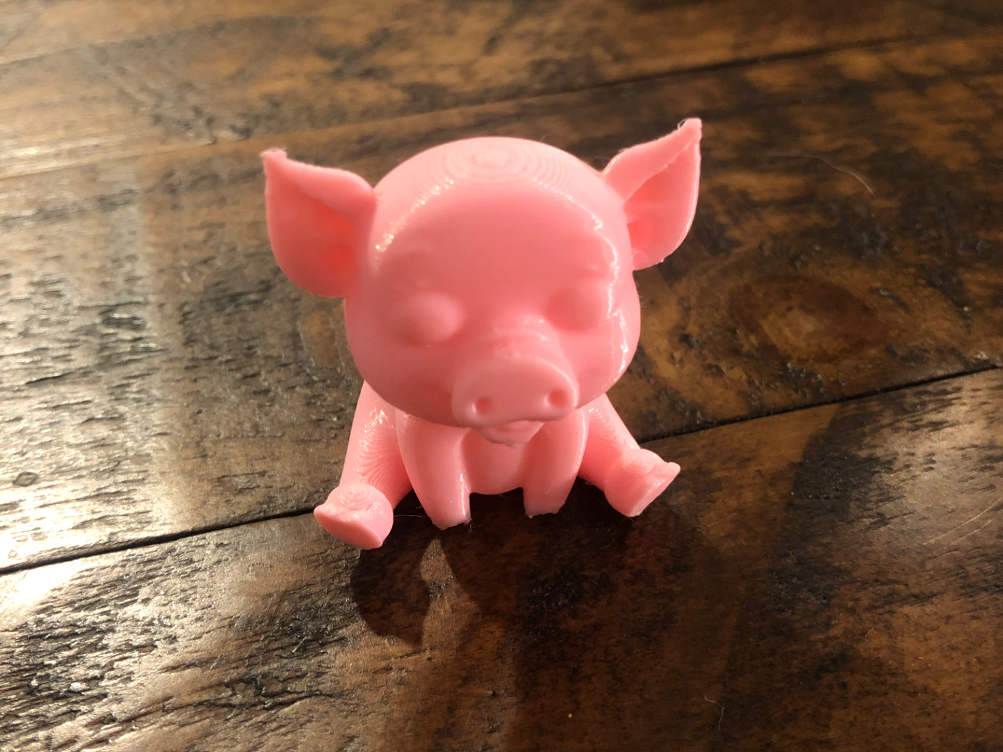 sitting pig