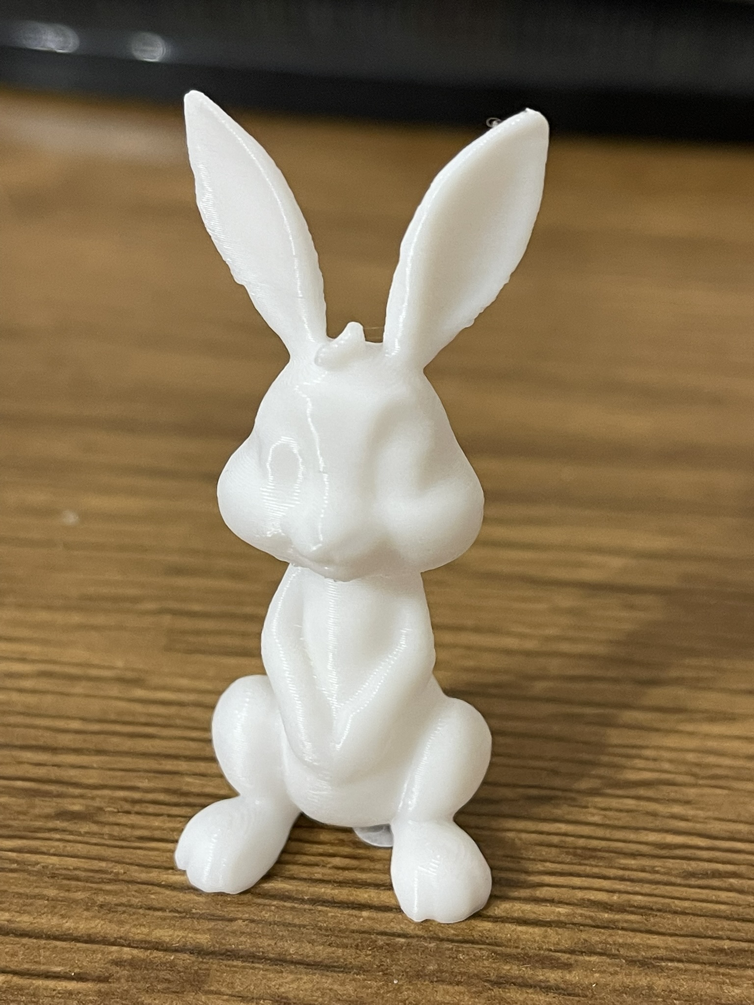 Bunnie