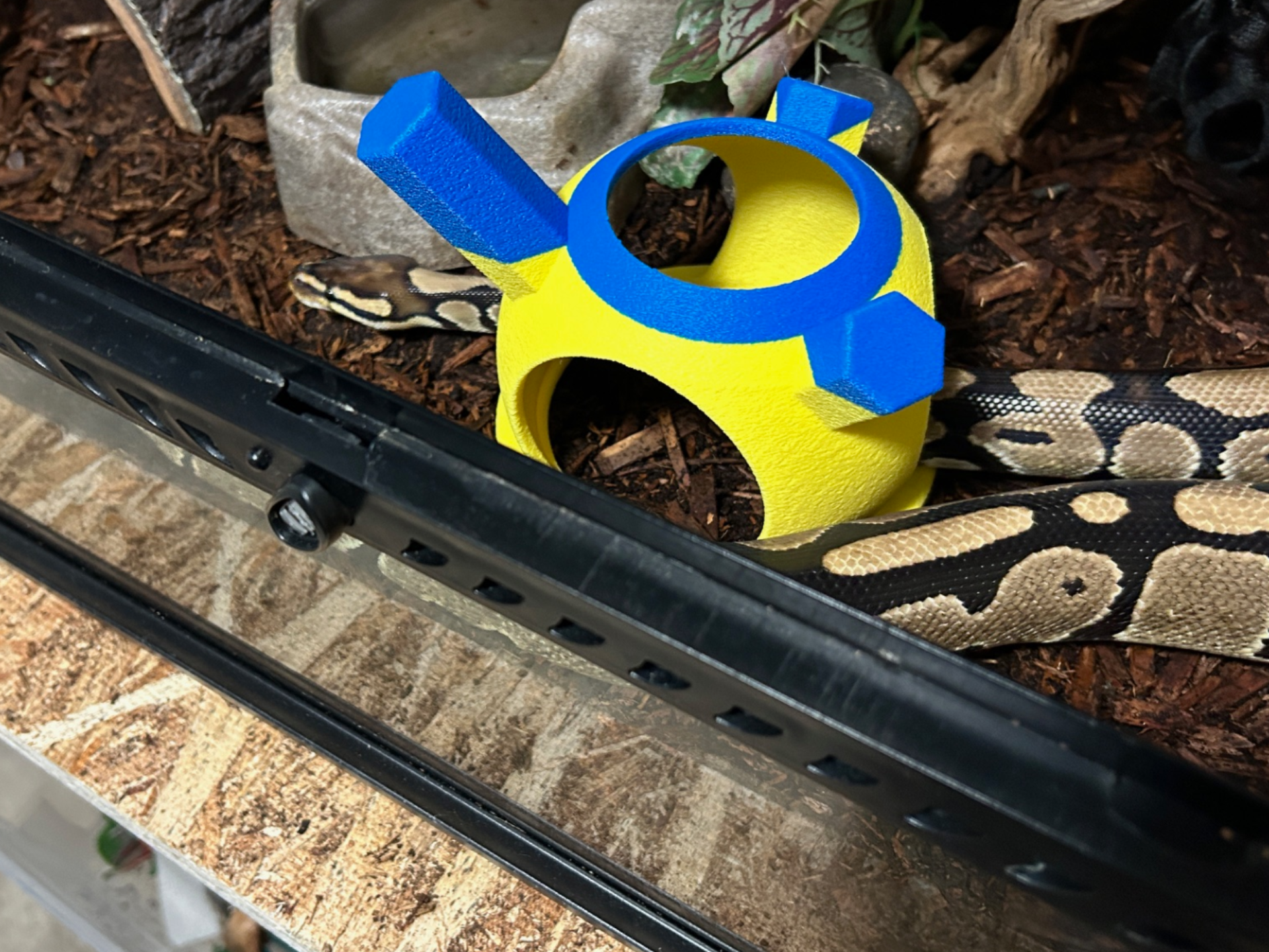Reptile Enrichment Dome