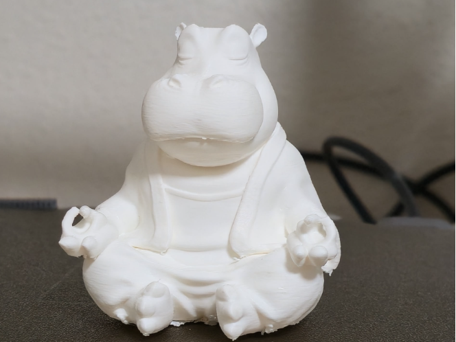 hippo budha