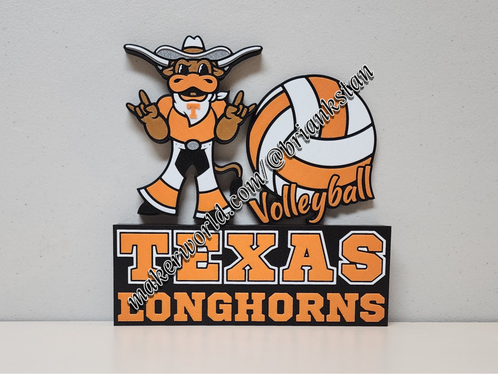 Texas Longhorns Volleyball Wall or Desk Display