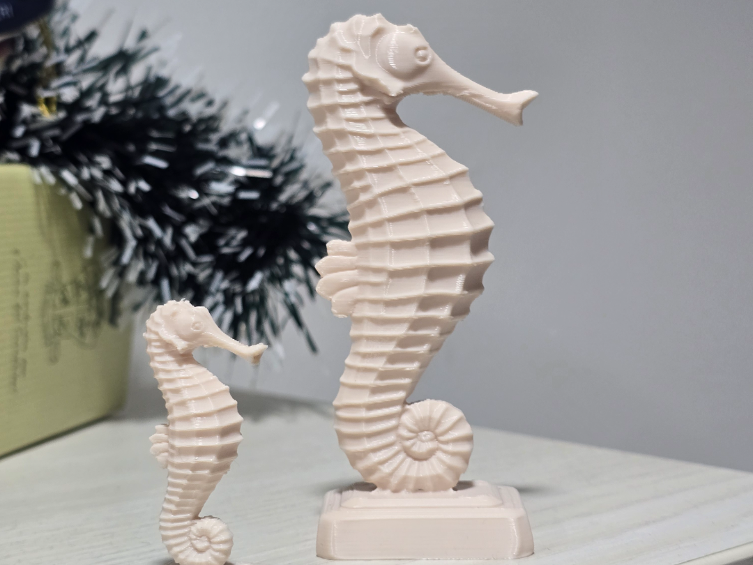 Cavallo di mare – cavalluccio marino