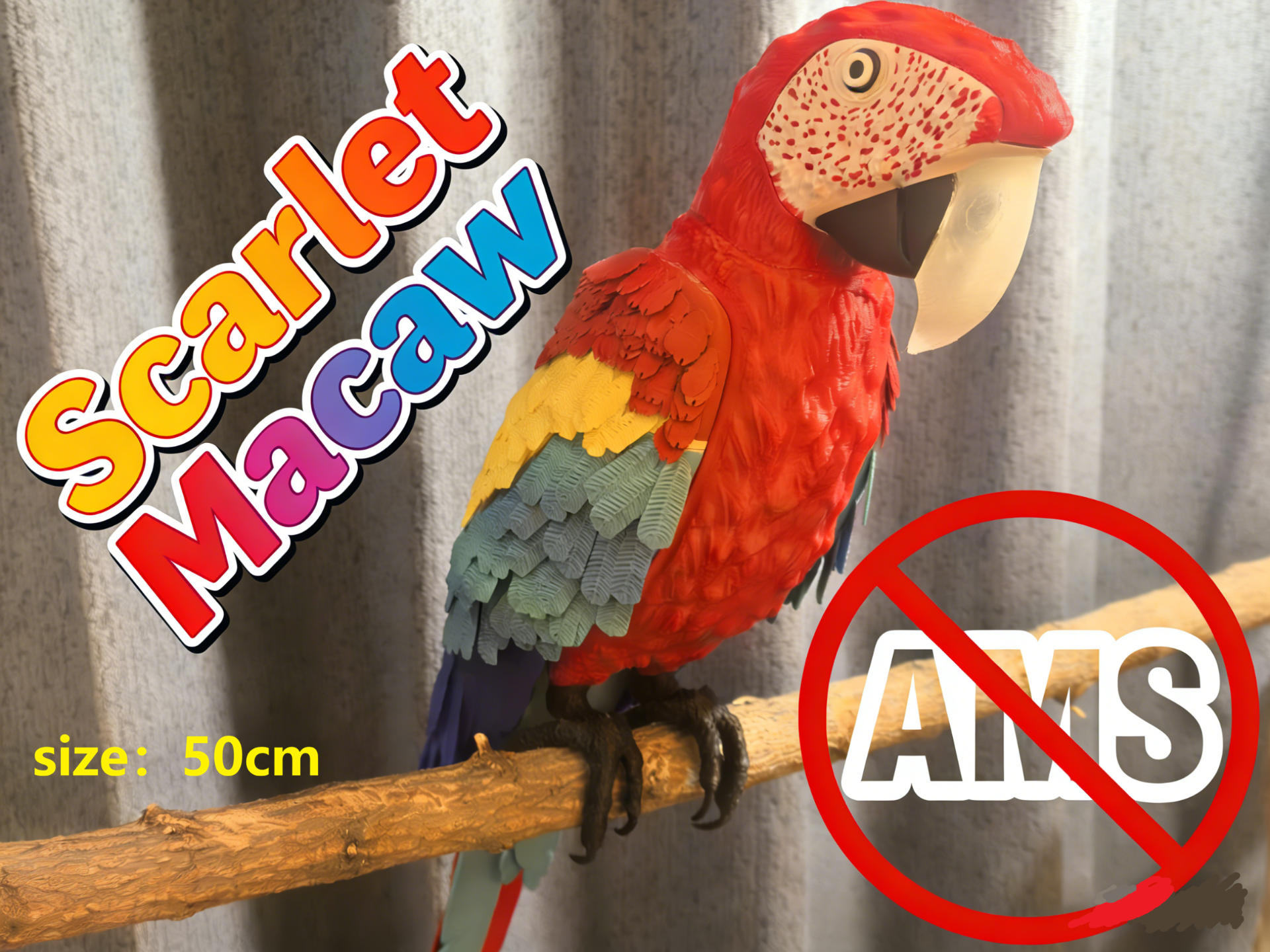 绯红金刚鹦鹉(Scarlet Macaw)