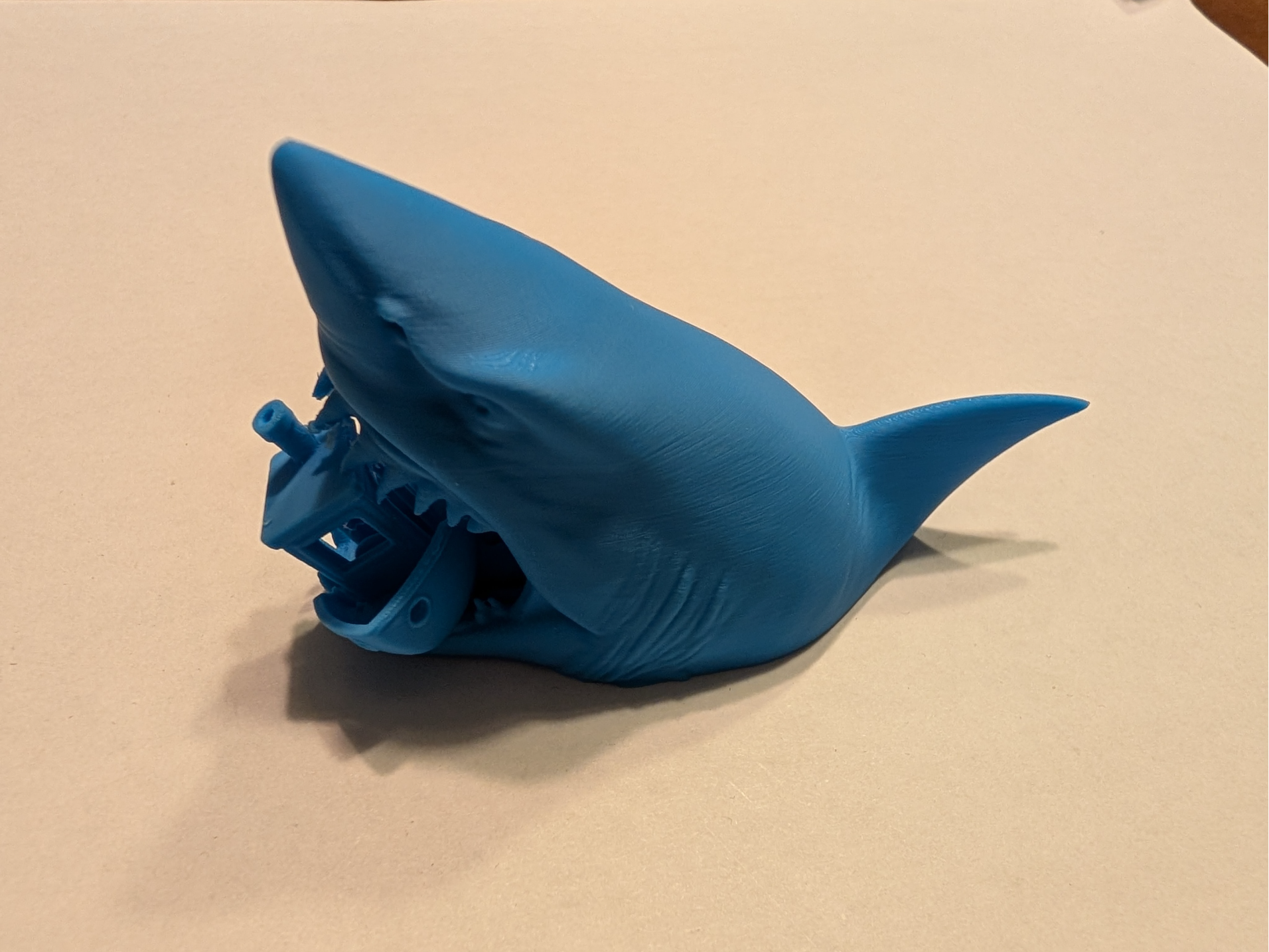 shark eating benchy