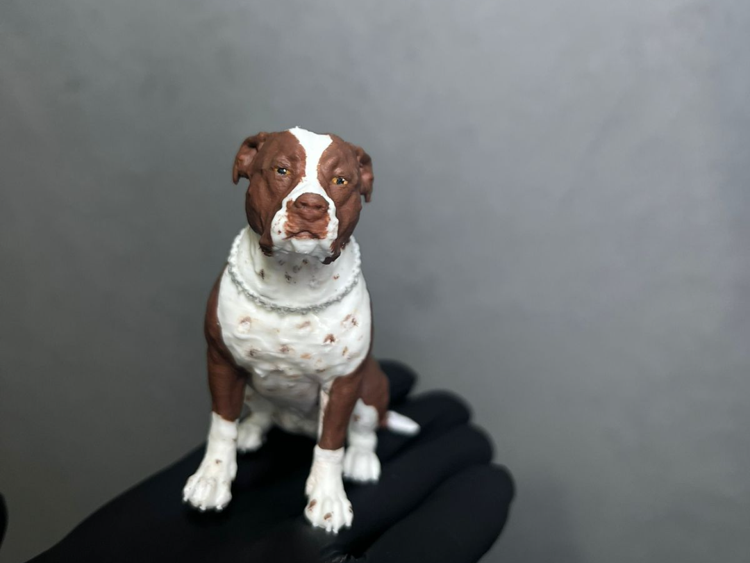 Cachorro Pitbull