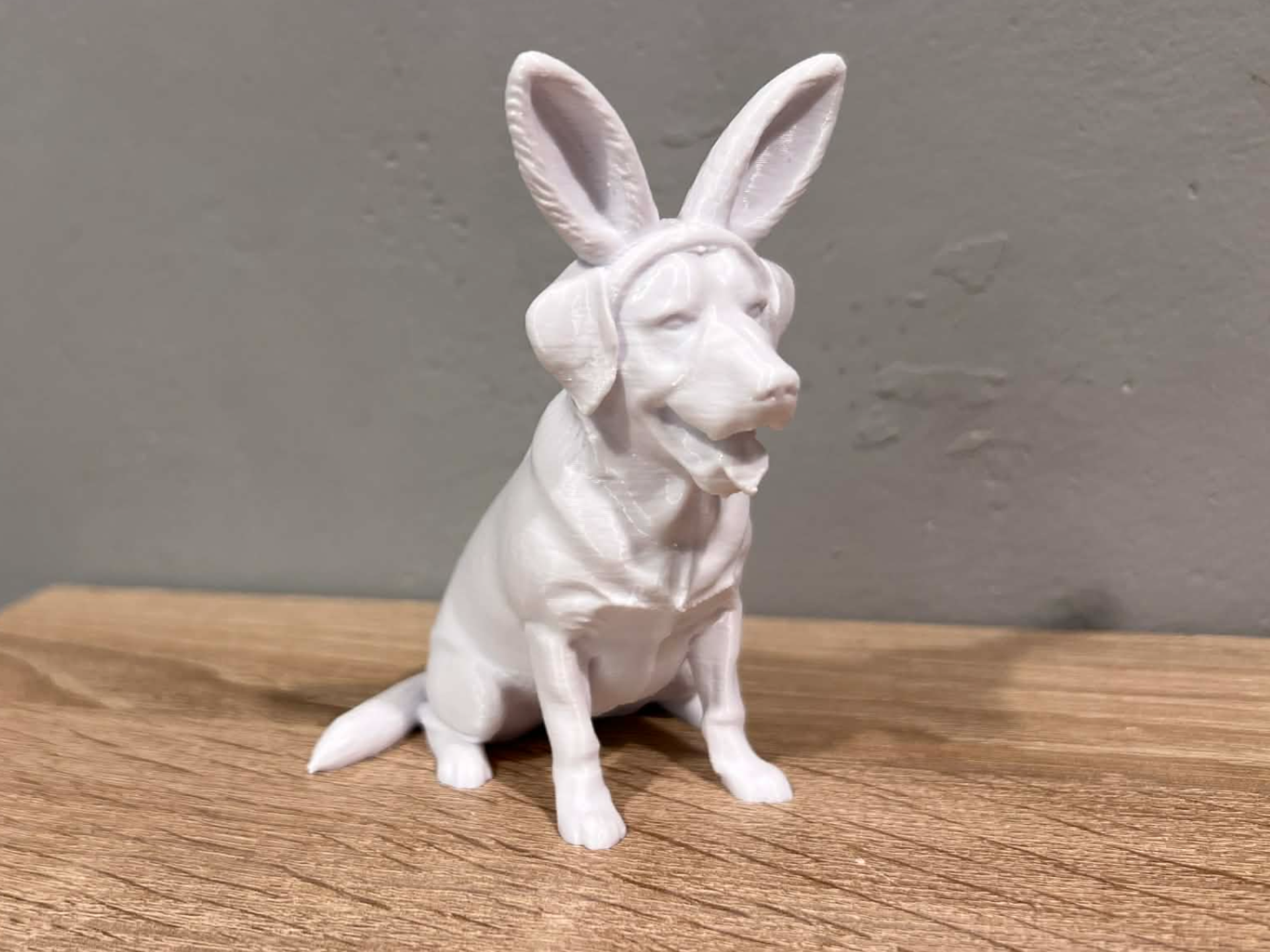 Labrador Retriever with Bunny ears - Easter - Dog