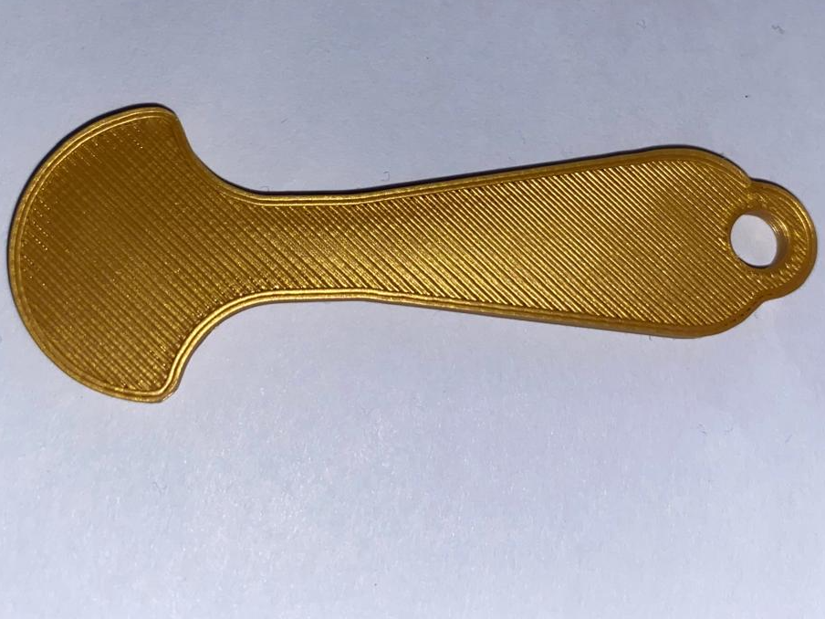 Removable shopping cart coin