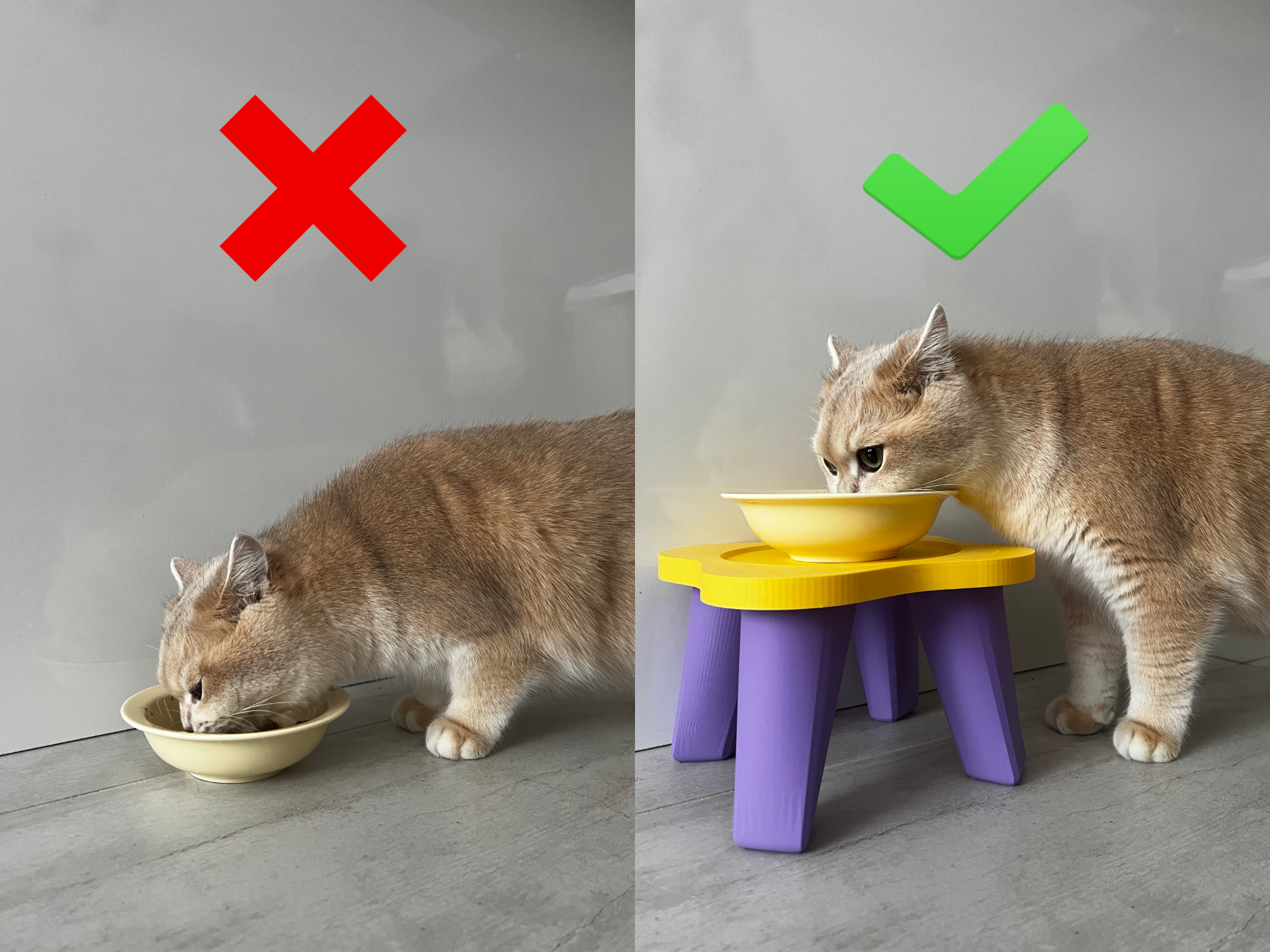 Elevated Cat Bowl Stand （NO AMS, GLU, SUPPORT）