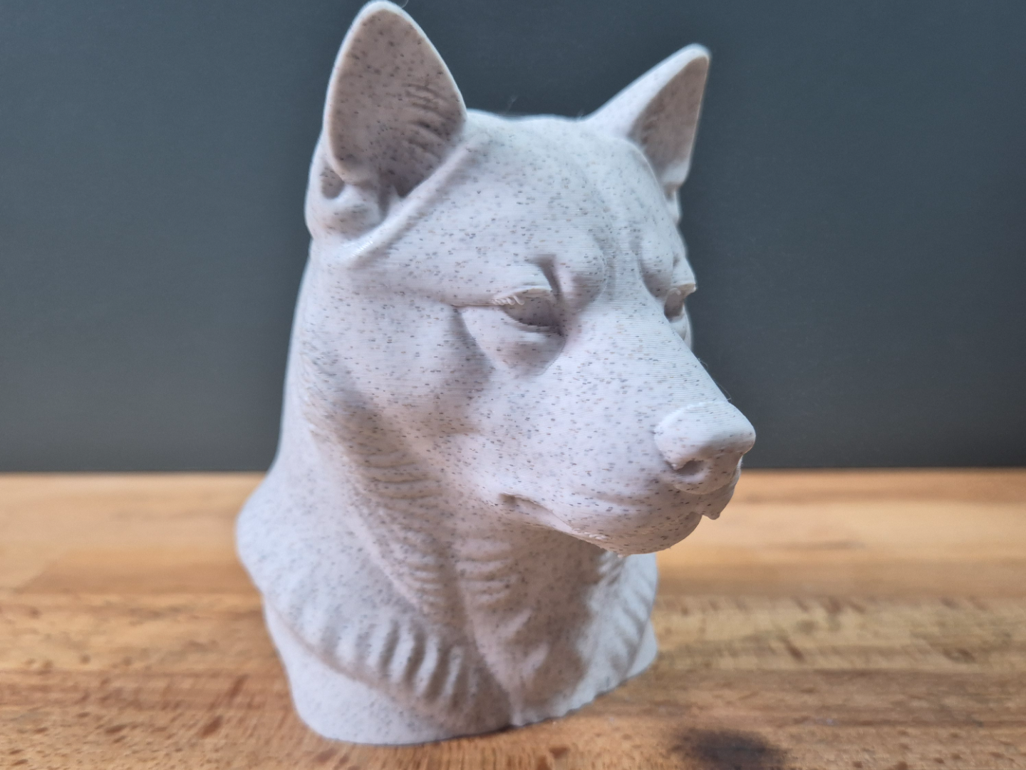 Hokkaido Dog Bust