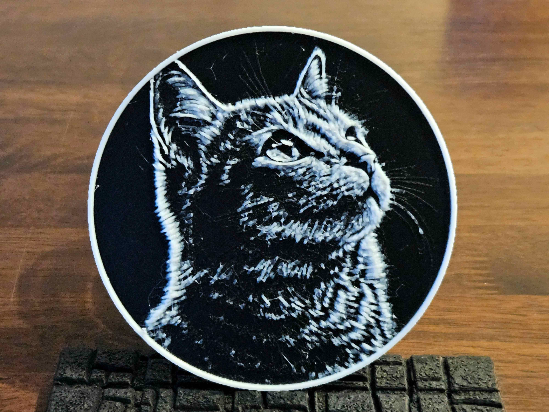 Cat Coaster