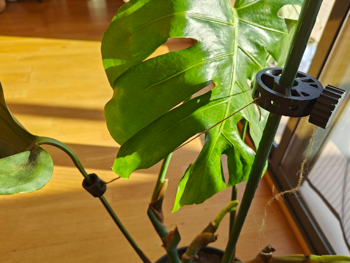 Minimalist Monstera Stand V2