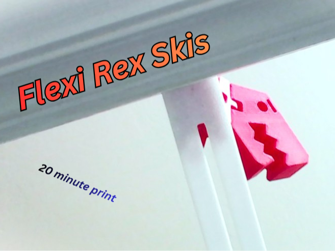 Skis for Flexi Rex