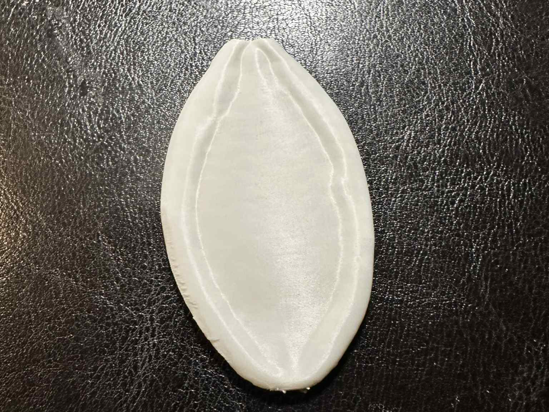 Realistic 3D Printed Pumpkin Seed
