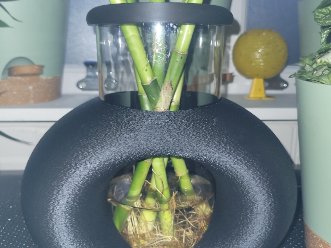Lucky Bamboo Vase