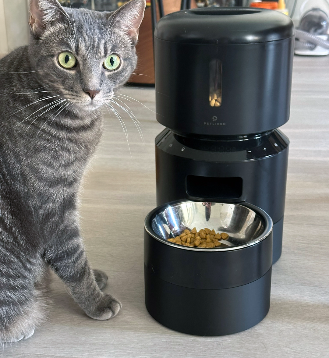 PetLibro Automatic Cat Feeder Riser - 2.5" tall