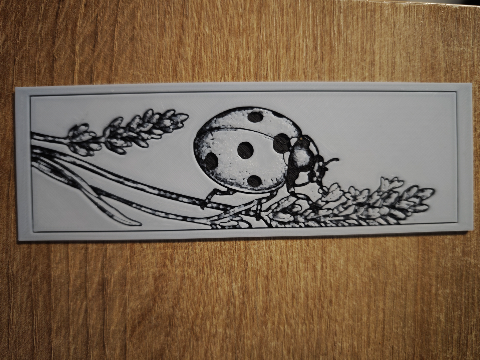 ladybird2