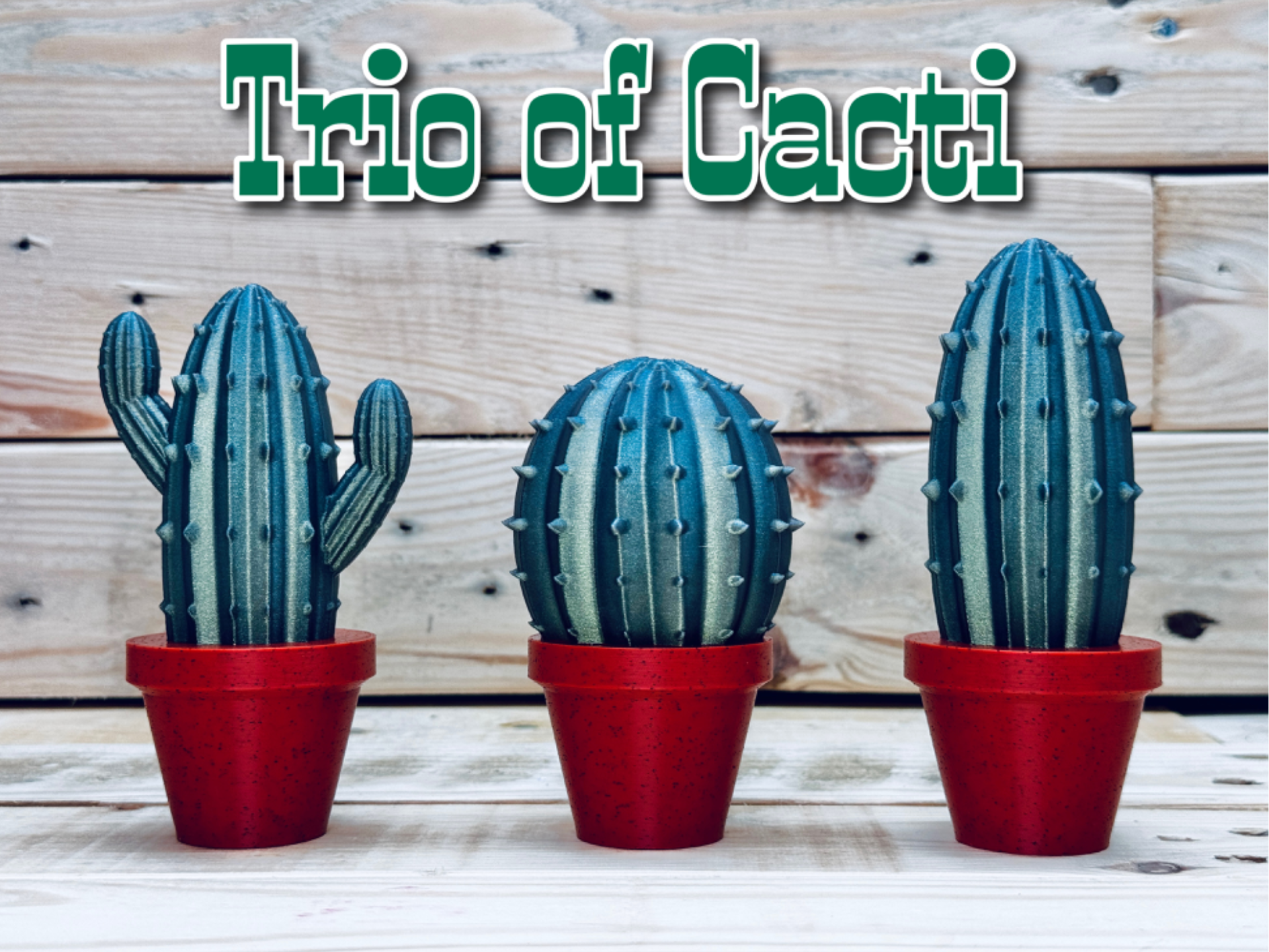 trio of Cacti
