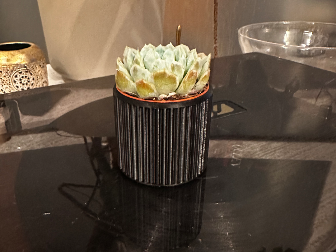 Small Ribbed Cacti Planter