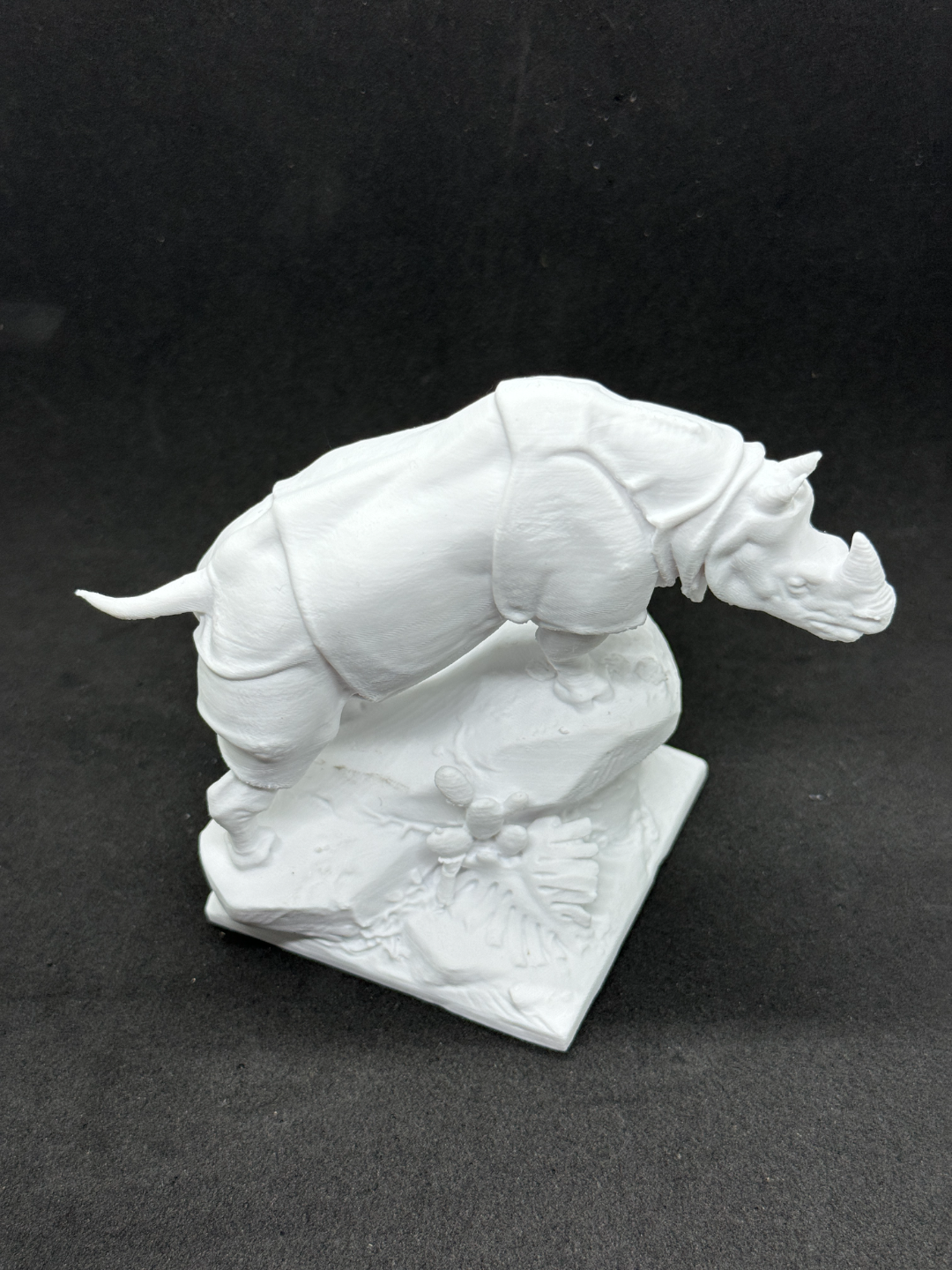 Rhinoceros