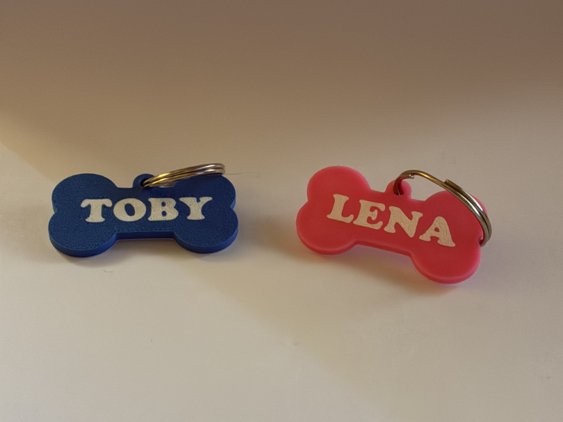 Placa Mascota Personalizada Hueso