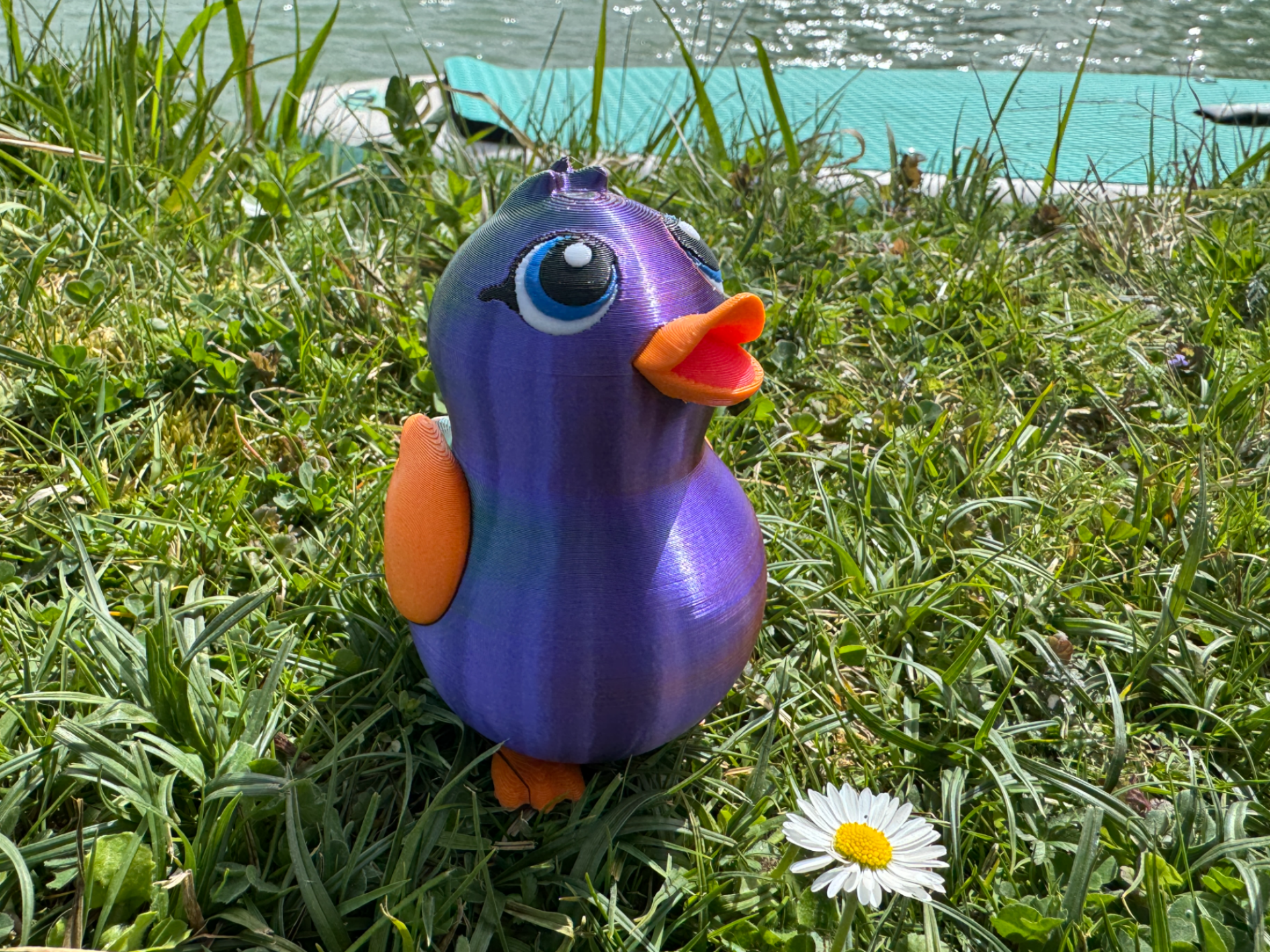 Molly das Küken