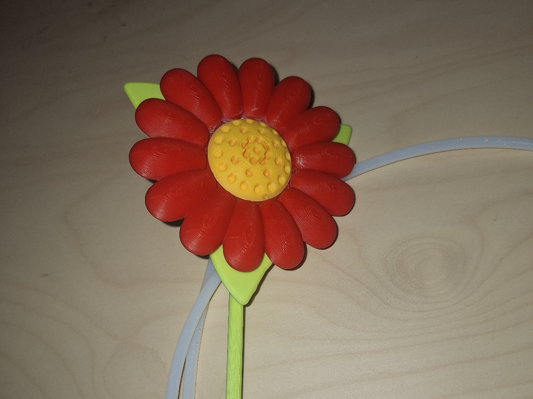 Squirting Clown flower