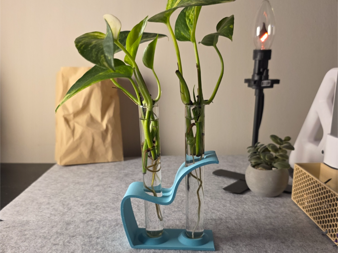 Propagation test tube holder