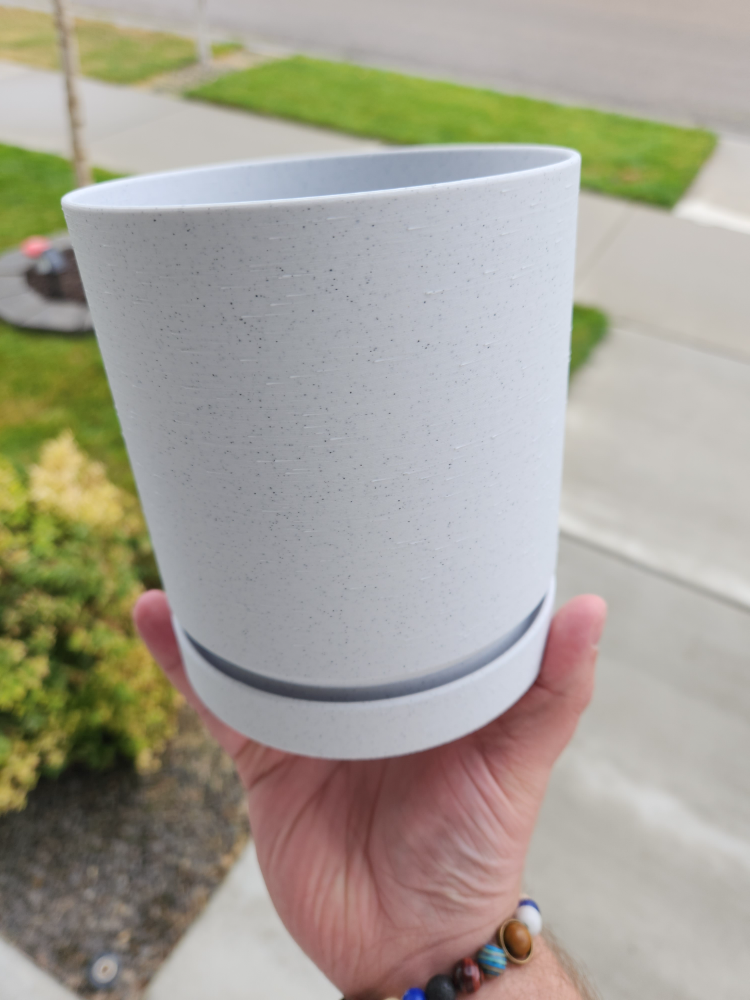 Plant Pot