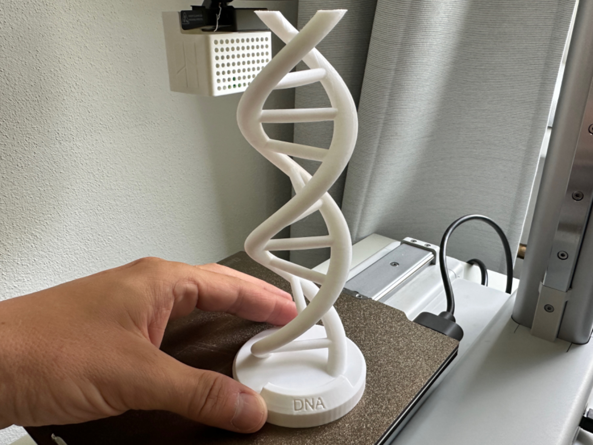 DNA Helix Model - no supports