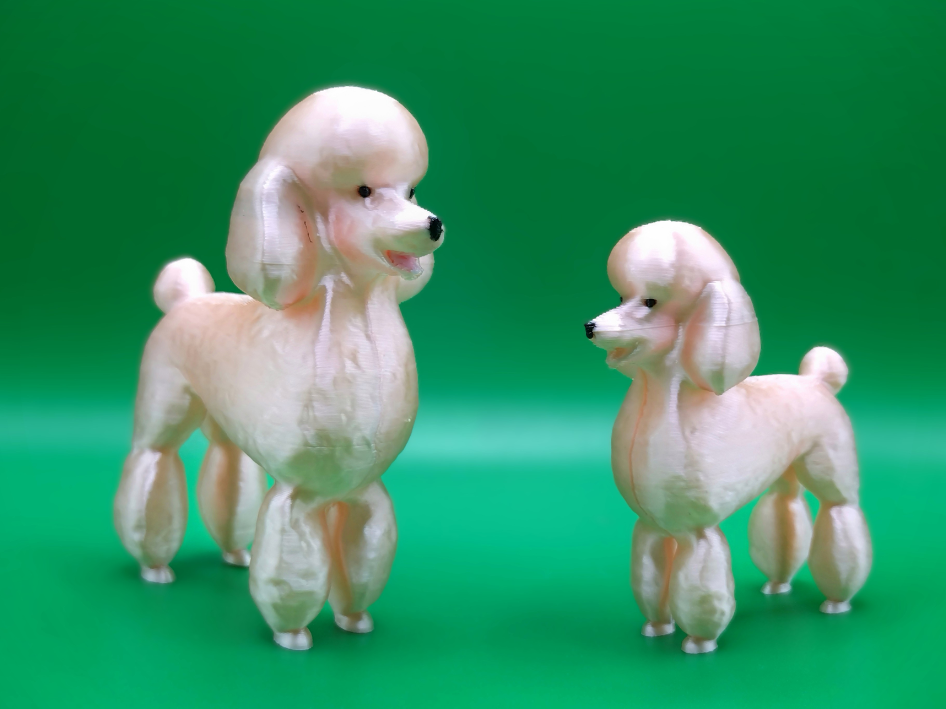 Poodle