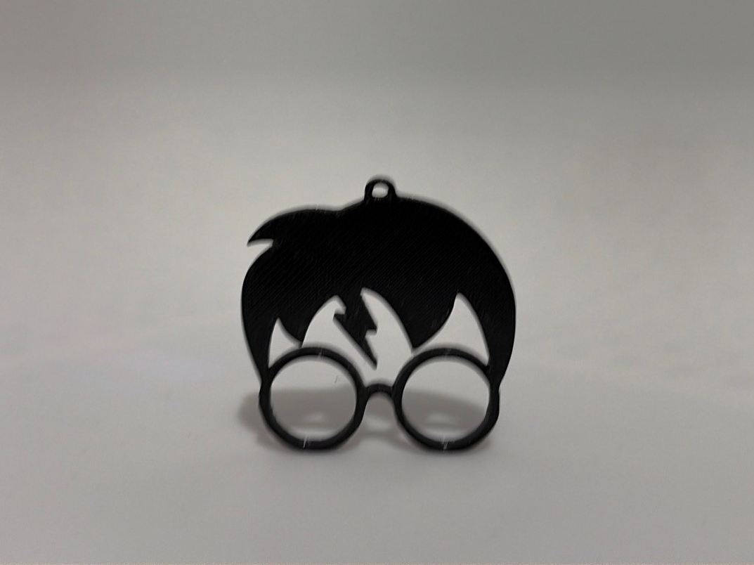 Harry Potter Earrings