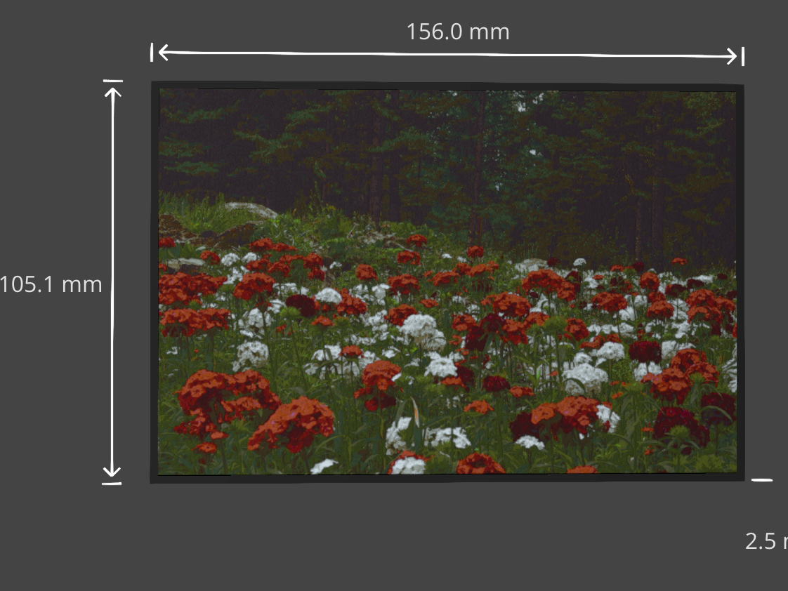Canada red and white flowers photographed in Banff